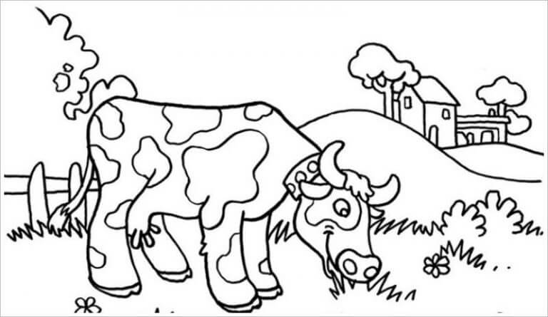 Tuyển tập tranh tô màu con bò cho bé tập tô  thptphamhongthaieduvn